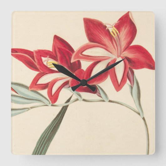 すばらしいトウモロコシ旗 スクエア壁時計 (正面)