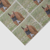 すばらしいボクサー犬 薄葉紙 (詳細)