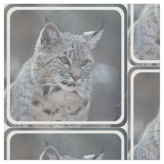 すばらしいボブキャット ファブリック (クローズアップ)