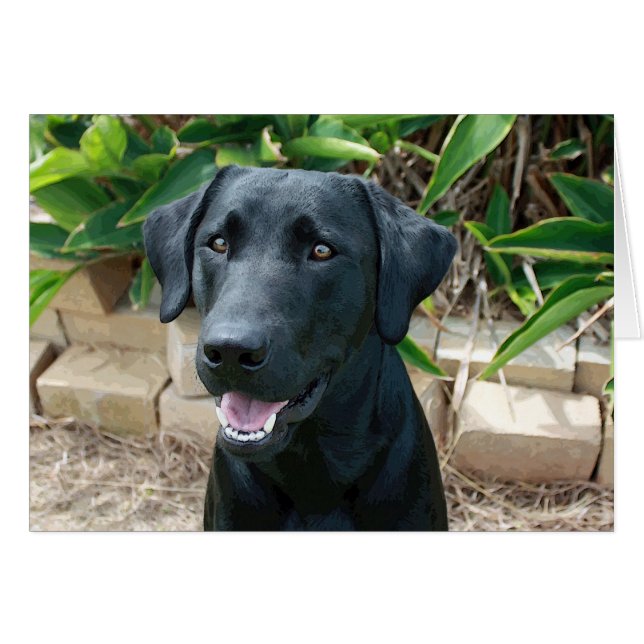 すばらしいメッセージが付いている素晴らしい実験室! (正面横)