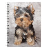 すばらしいヨークシャーテリア ノートブック (正面)