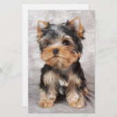 すばらしいヨークシャーテリア 便箋 (正面/裏面)