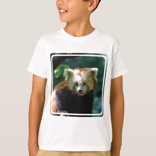 すばらしいレッサーパンダ Tシャツ (正面)
