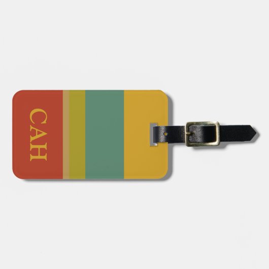 すばらしい世界のパレットのストライプのモノグラム ラゲッジタグ (正面横)