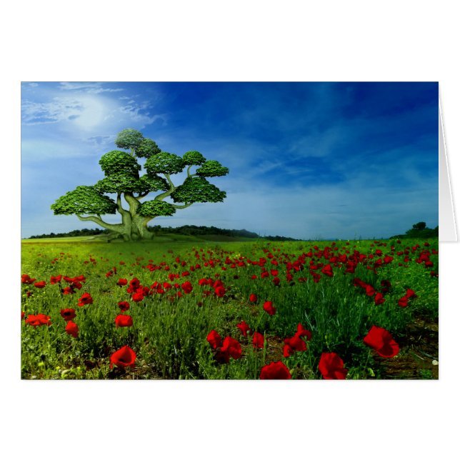 すばらしい世界 (正面横)