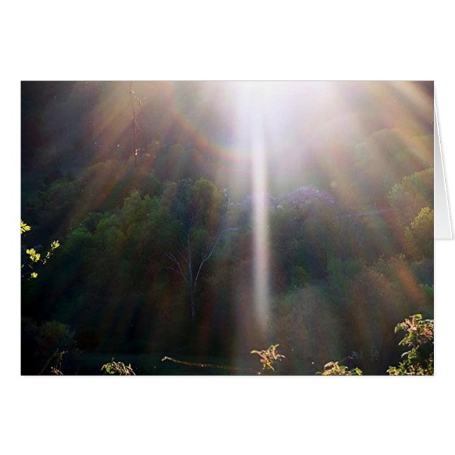 すばらしい優美カード (正面横)