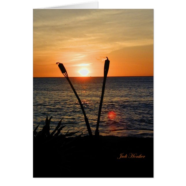 すばらしい優美 (正面)