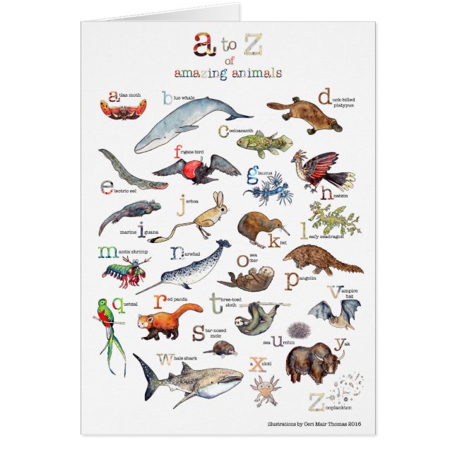 すばらしい動物のA-Z (正面)