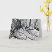 すばらしい妖精のミソサザイの挨拶状 カード (黄色い花)