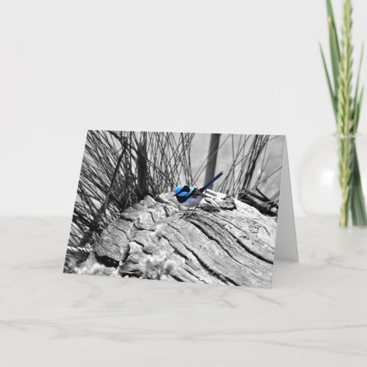 すばらしい妖精のミソサザイの挨拶状 カード (正面)