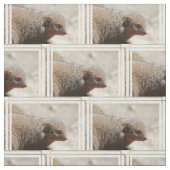 すばらしい小型マングース ファブリック (見本)