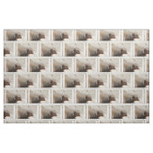 すばらしい小型マングース ファブリック (ファットクウォーター)