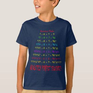 すばらしい数学 Tシャツ