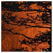 すばらしい馬 ファブリック (見本)