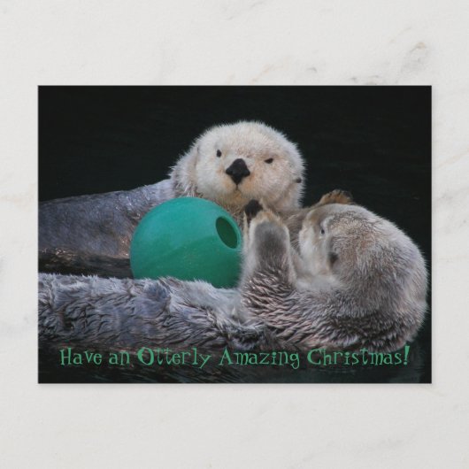 すばらしい！カワウソ最高 シーズンポストカード (正面)