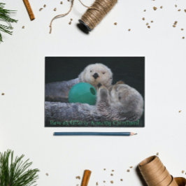 すばらしい!カワウソ最高 シーズンポストカード