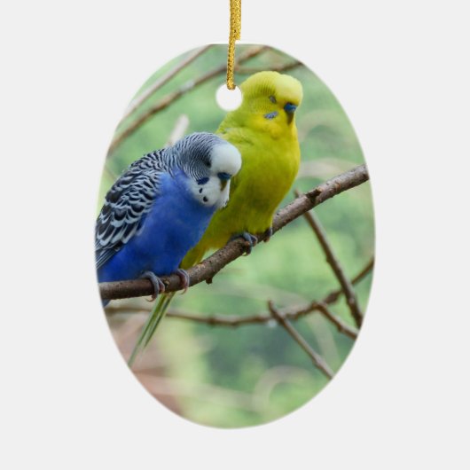 すばらしいBudgie セラミックオーナメント (正面)