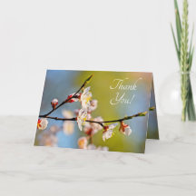 すばらし日本のいアプリコット花