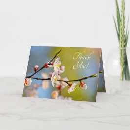 すばらし日本のいアプリコット花 サンキューカード