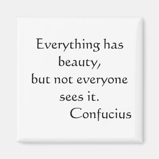 すべてが美しいを持っているが、誰もがそれを見ていない マグネット