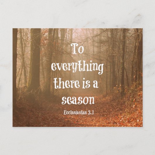 すべてには季節の聖書の聖句がある ポストカード (正面)
