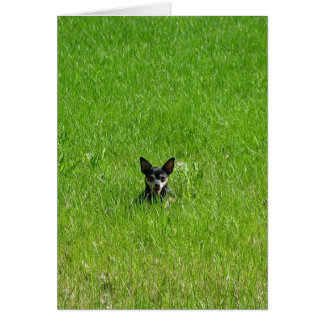 すべてに単独で