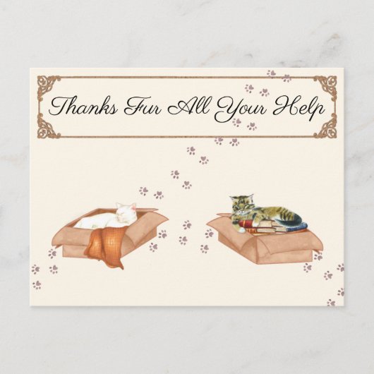 すべてのご助力に感謝!猫と箱、ありがとう ポストカード (正面)