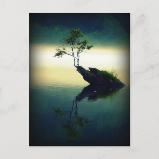 すべてのオッズに対して – 美しい木の写真 ポストカード (正面)