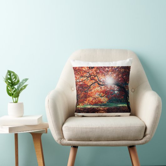 すべてのオーガニック天然木(143) クッション (椅子)