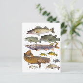 すべてのゲームの魚 ポストカード (スタンド正面)