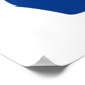 すべてのジョージア選挙結果を有効にする ポスター (角)