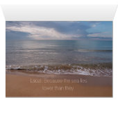 すべてのストリームのTao Te ChingキングCC0842 (内部横(下))