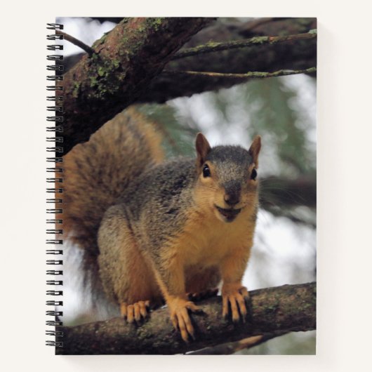 すべてのスマイル ノートブック (正面)