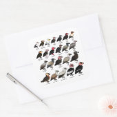 すべてのハゲワシ スクエアシール (封筒)