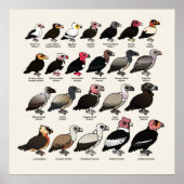 すべてのハゲワシ ポスター (正面)