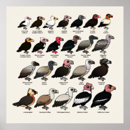 すべてのハゲワシ ポスター