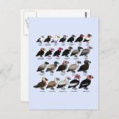 すべてのハゲワシ ポストカード (正面/裏面)