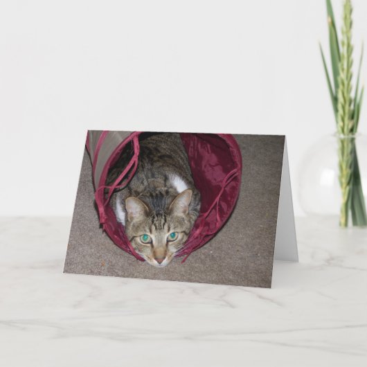 すべてのハッピーカード カード (正面)