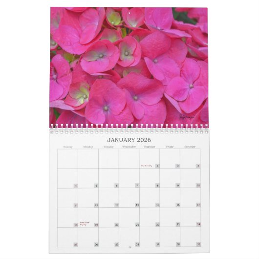 すべてのピンクの花の写真カレンダー カレンダー (1月 2026)