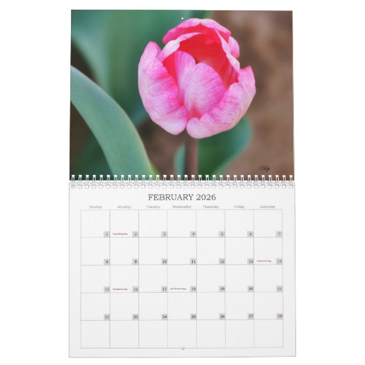 すべてのピンクの花の写真カレンダー カレンダー (2月 2026)