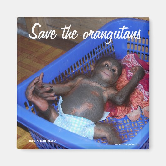 すべてのベビーが愛を必要 マグネット (正面)