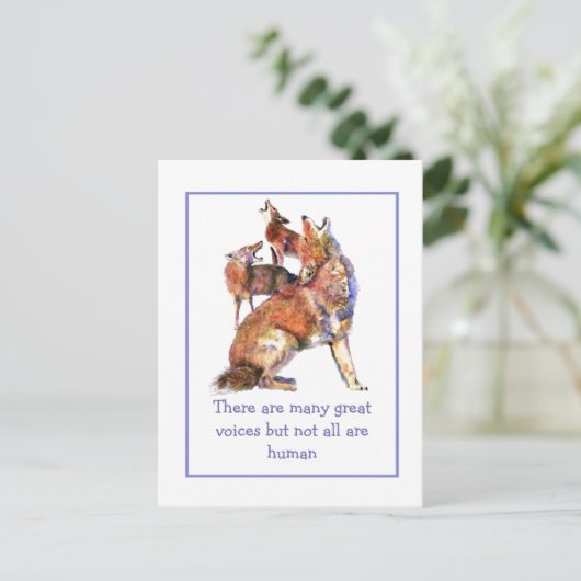 すべてのボイス人間コヨーテ感動的ス引用文 ポストカード (スタンド正面)