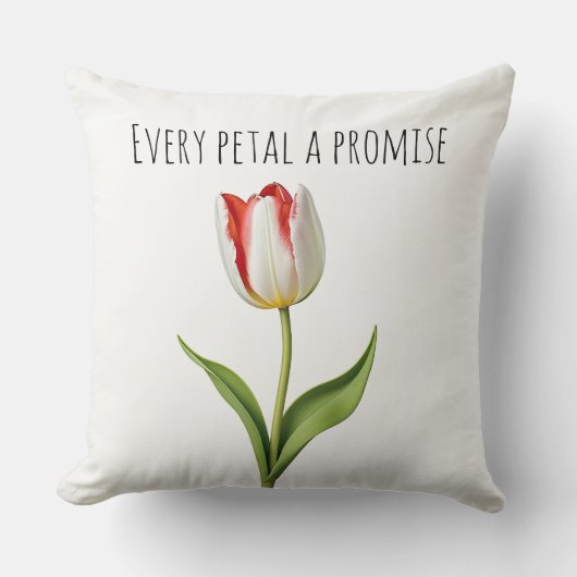 すべての人々は約束を果たす クッション (正面)