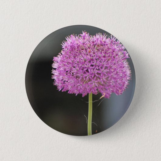 すべての人に花を 缶バッジ (正面)