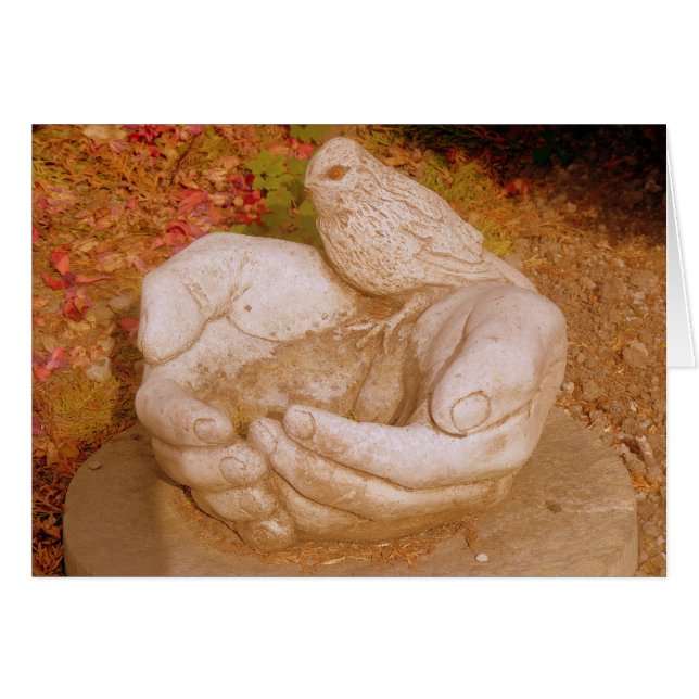 すべての人への親切 (正面横)