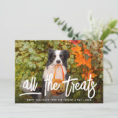 すべての処理 |ハロウィーンのペット写真 カード (スタンド正面)