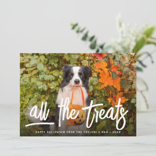 すべての処理 |ハロウィーンのペット写真 カード (スタンド正面)