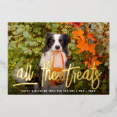 すべての処理 |ハロウィーンのペット写真 箔シーズンカード (正面)