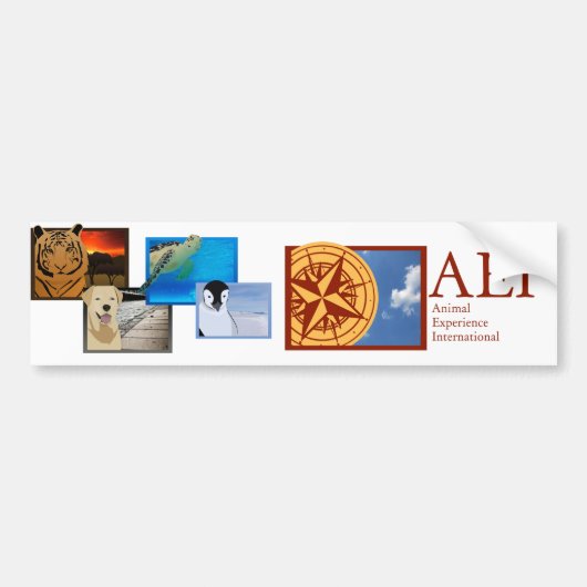 すべての動物のステッカー バンパーステッカー (正面)