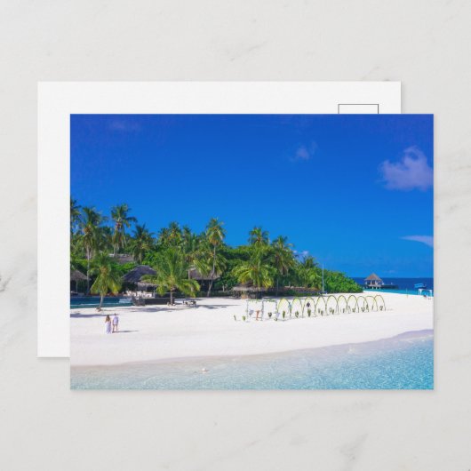 すべての呼び出しに対するSaビーチポストカード ポストカード (正面/裏面)